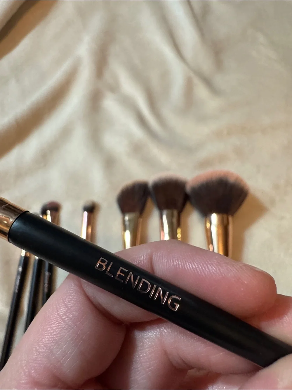 Shaina B 8-Piece Black Handle Makeup Brush Set